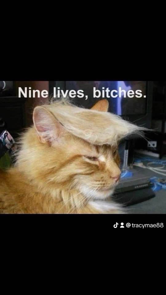tracymae88's tweet photo. #Trump2024 https://t.co/FgZdL9OA02