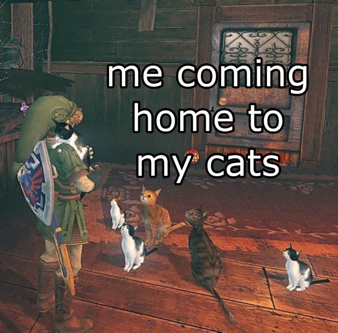 Punch Cat tweet media