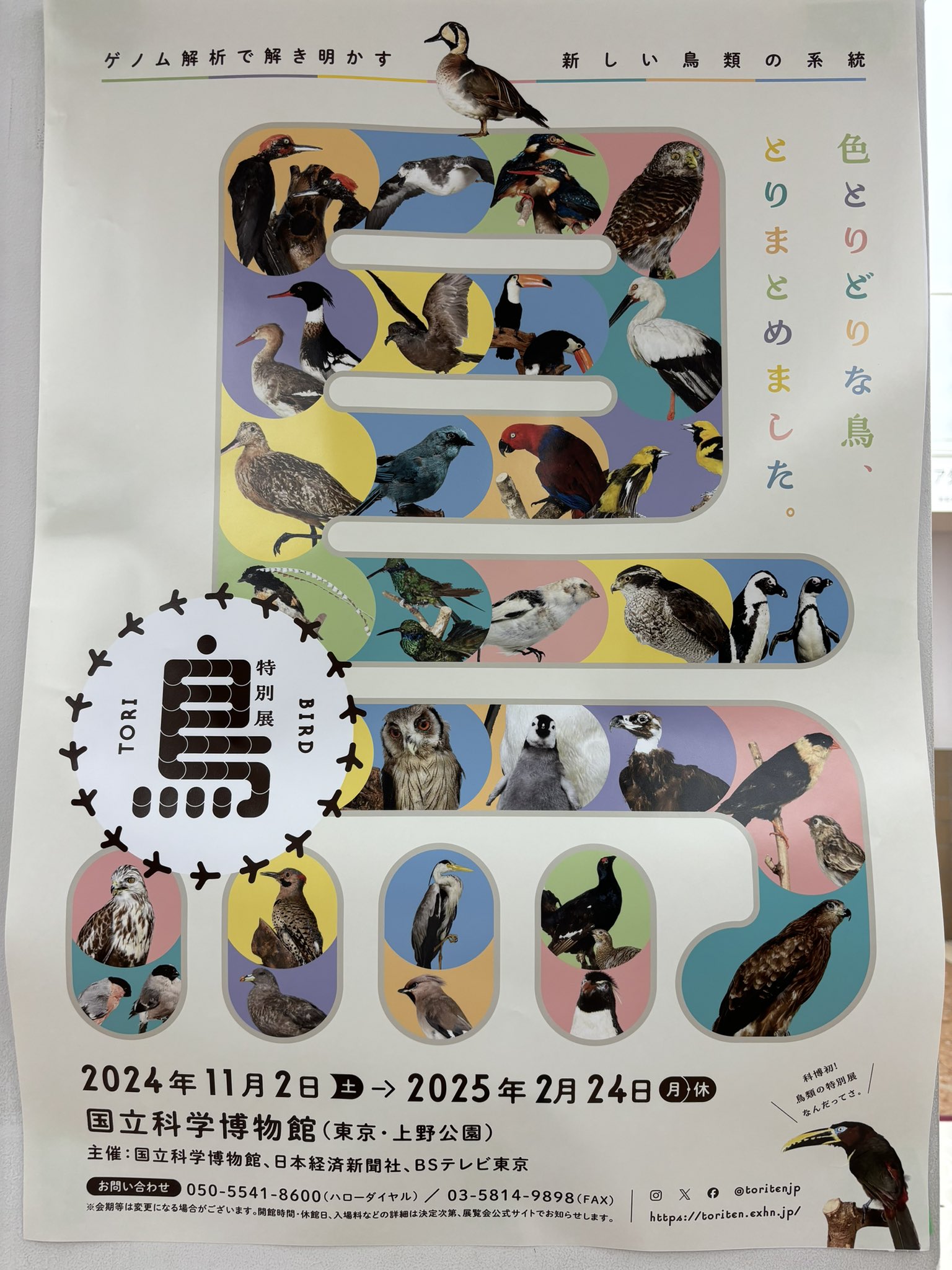 塩バニラ (@sio9734) / X