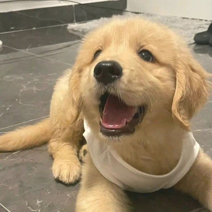 !!