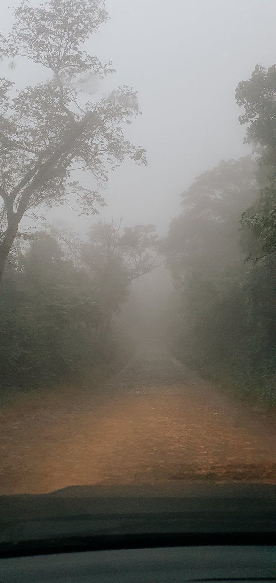 Javi López 🌱 tweet media