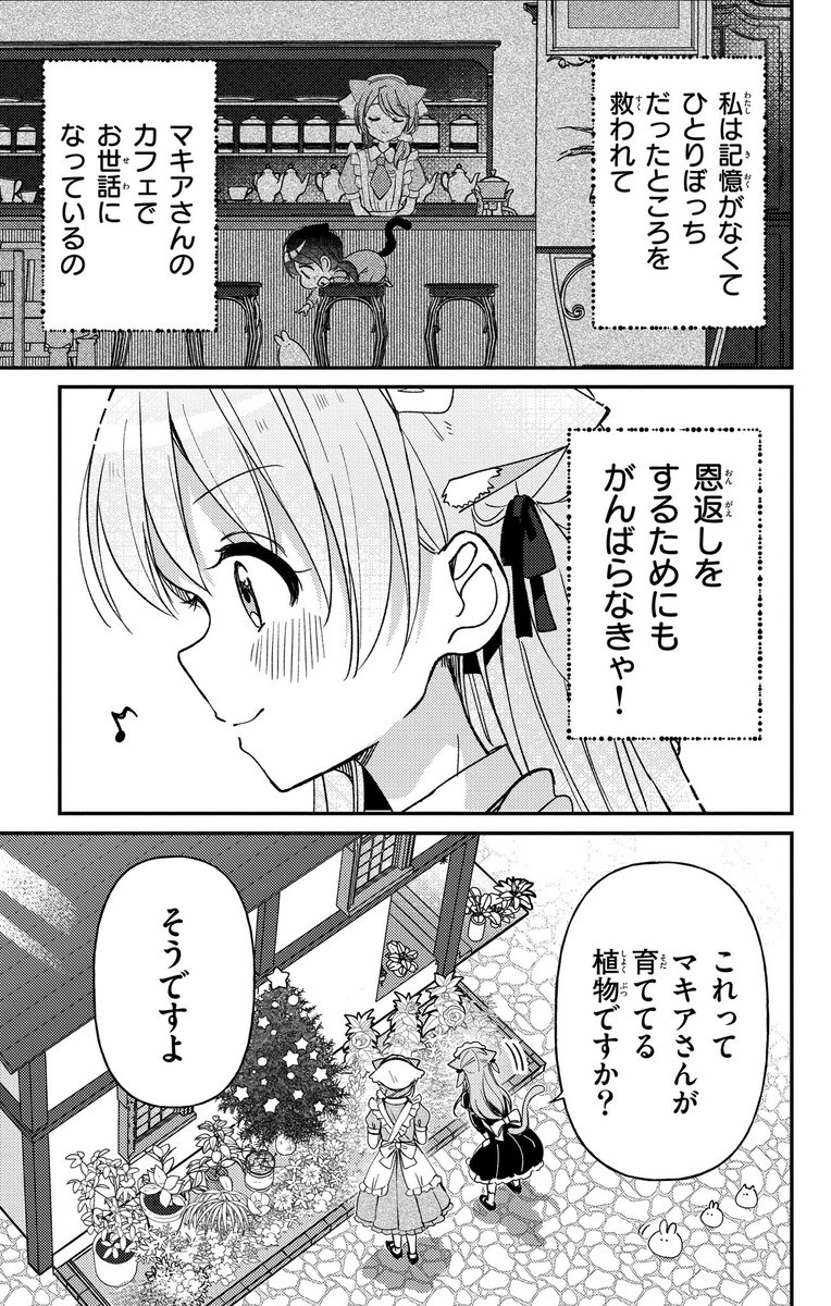 (3/3) 