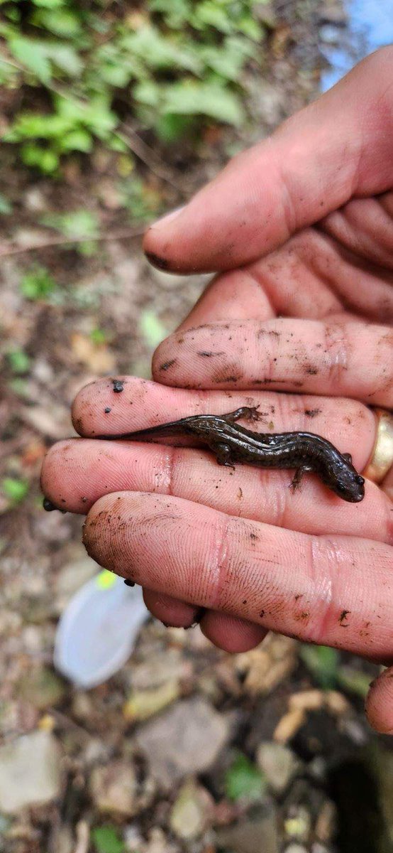 Tom Anderson tweet media