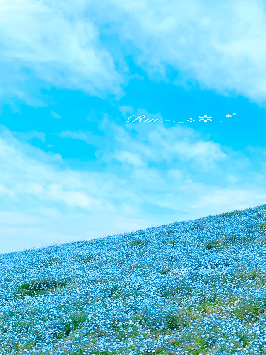 りん✿忘れた頃にそっと…🌸* tweet media