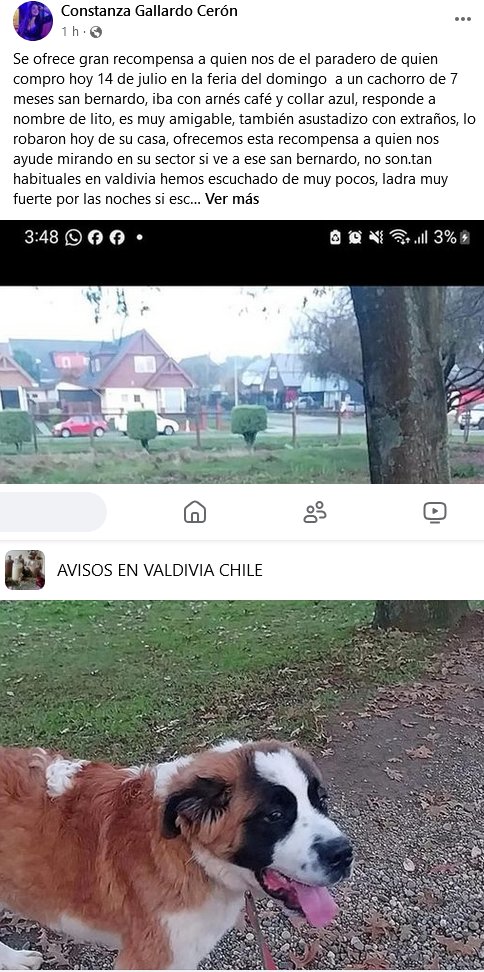 Ojo #Valdiviacl #AdoptaNoCompres