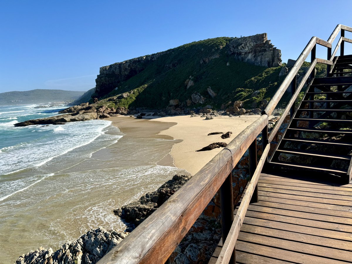 Knysna Is Awesome tweet media