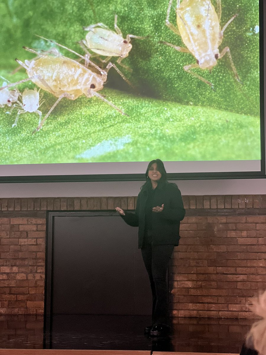 Ashritha Dorai (@ashritha_dorai) on Twitter photo <a href="/SciMelb/">Science at Melbourne</a> 3MT last Thursday! With <a href="/scidocmartin/">A/Prof Jen Martin @scidocmartin.bsky.social</a> celebrating Second Place!
See you at the UniMelb finals! ✨🪲
<a href="/BioSci_UniMelb/">BioSciences UniMelb</a> <a href="/SciMelb/">Science at Melbourne</a> 3MT last Thursday! With <a href="/scidocmartin/">A/Prof Jen Martin @scidocmartin.bsky.social</a> celebrating Second Place!
See you at the UniMelb finals! ✨🪲
<a href="/BioSci_UniMelb/">BioSciences UniMelb</a>
