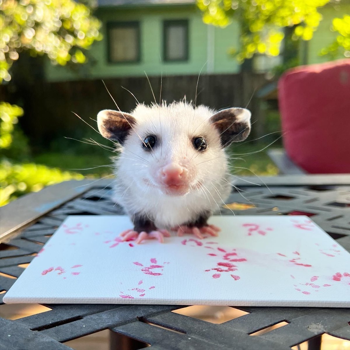 DeathPoss's tweet photo. Fuck work, it's finger paint day! https://t.co/d3aS3ViVEa