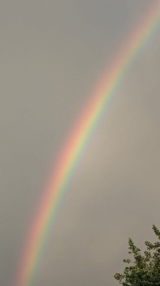 Mike Graber tweet media