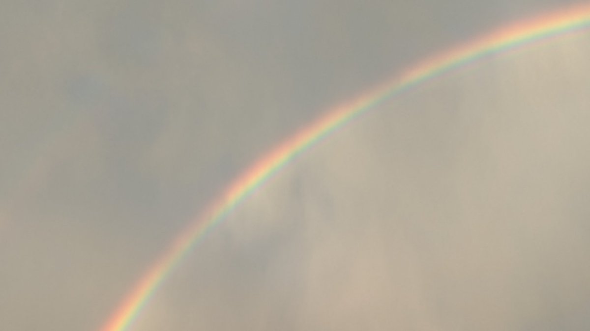 Mike Graber tweet media