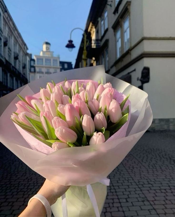 Exulansista's tweet image. pink tulips