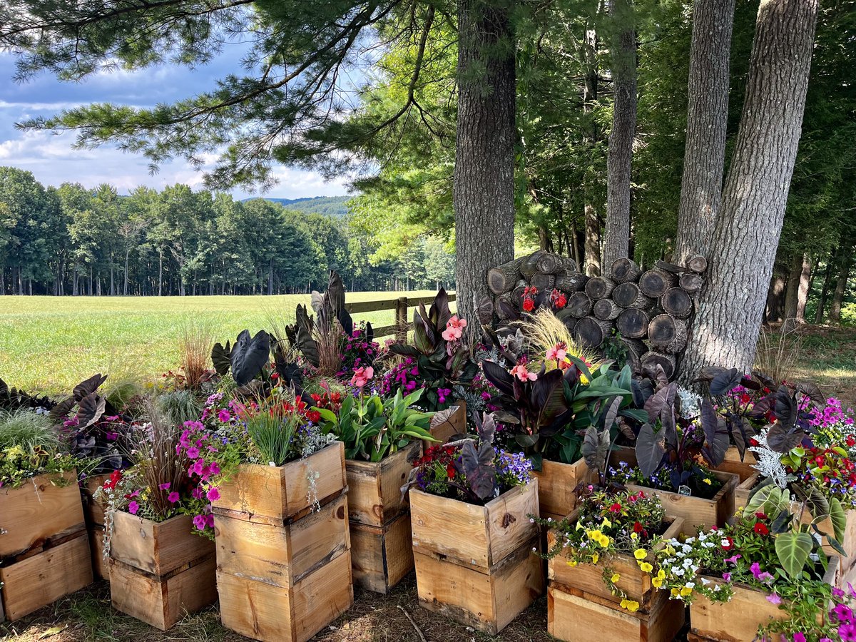 floydfest's tweet photo. 🌸 It's beginning to look a lot like FloydFest ...
... everywhere you go.
Take a look at the flowers & zen, it's all glistening once again ... 🌺
📸 : @linds_button
#music #magic #mountains #FloydFest #AtWP #FestivalPark #beauty #zen #10days #home https://t.co/ktClCI9DoO