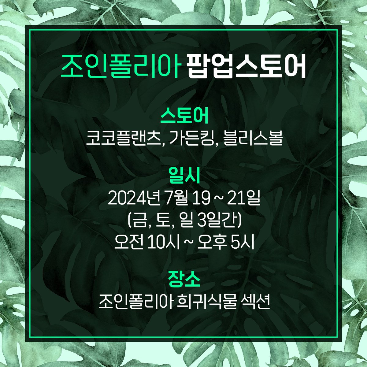 blissbowl_pot's tweet photo. 안녕하세요, 블리스볼입니다!

이번에 운이 좋게 조인폴리아에서 팝업 스토어 셀러로 초대받았는데 이번주 금, 토, 일(19~21) 행사 예정이에요!
이번에 판매된 <미카와 물떼새 유약>버전을 판매할 예정입니다! 🥰

코코플랜츠님, 가든킹님, 블리스볼 이렇게 참여하는 팝업스토어고 희귀식물 섹션에서 진행될 예정이에요.

시간 나시는분은 커피한잔 하러 놀러오세요! 😘