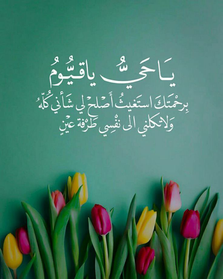 #صباح_الخير_والسعاده

ياحي ياقيوم  برحمتك استغيث اصلح لي شأني كله ولا تكلني الى نفسي طرفة عين🌸🌱
