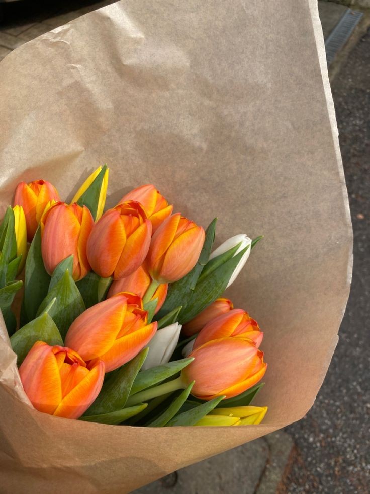 orange tulips