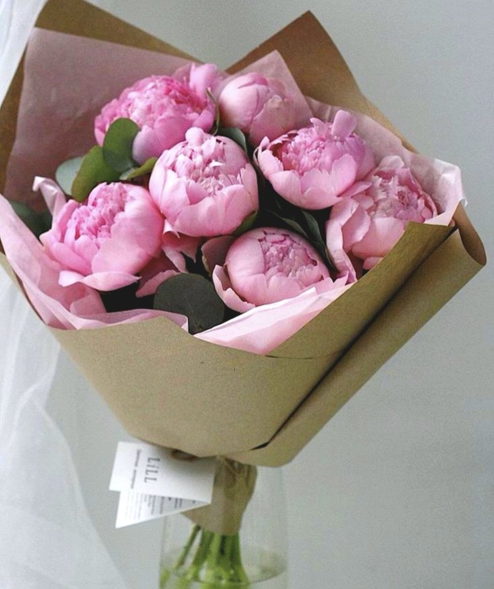 Exulansista's tweet photo. pink tulips or pink peonies? https://t.co/i6F44IlshV