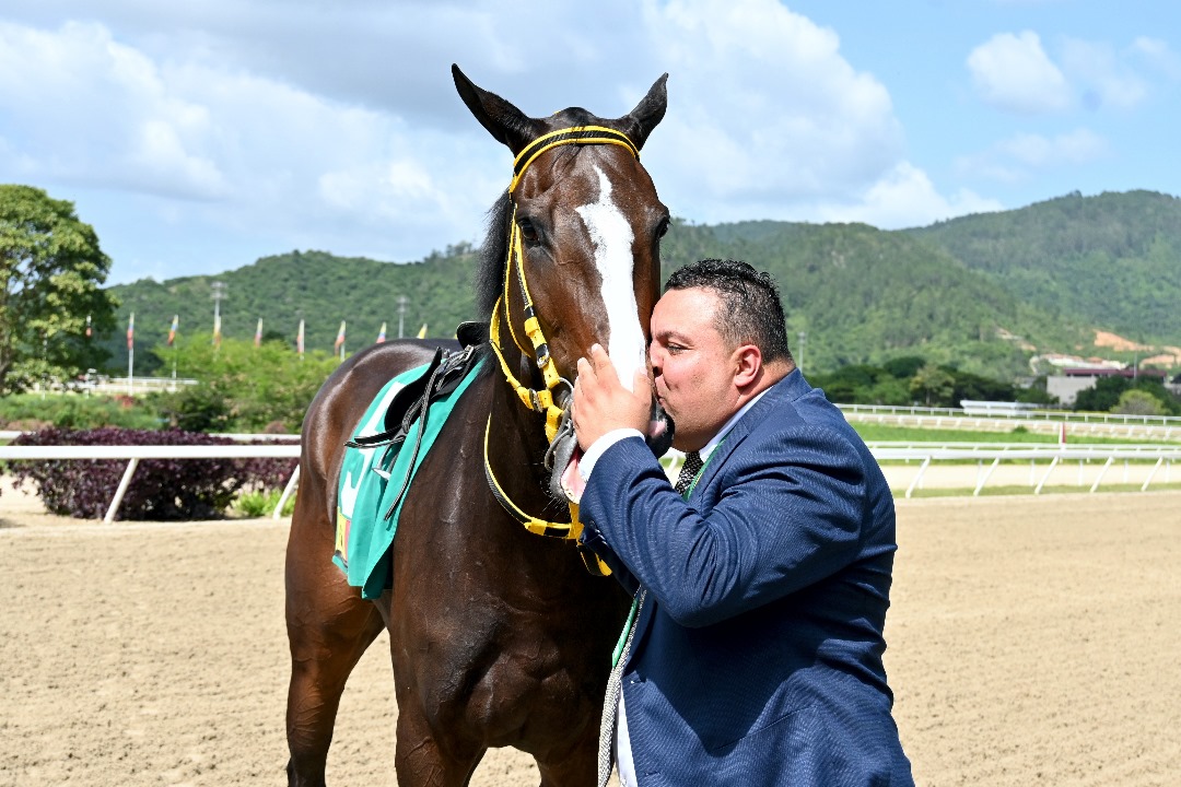 David_Hipico1's tweet photo. Clásico Armada Nacional Bolivariana lo ganamos por intermedio de TEQUILA con la magistral conducción de J Lugo @jockeyjaimelugo Seguimos de la mano de Dios !! https://t.co/5Y7Bgw4ifp