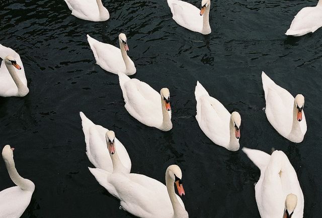 prtygal777's tweet image. 