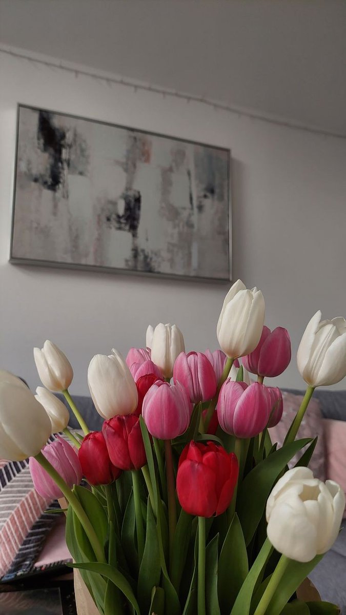 Exulansista's tweet image. pretty tulips