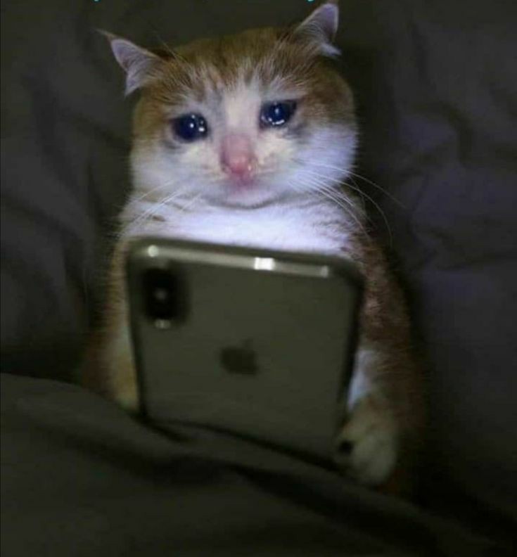 LordSnow's tweet image. Everyone seeing Meleys paraded like this #HouseOfTheDragon