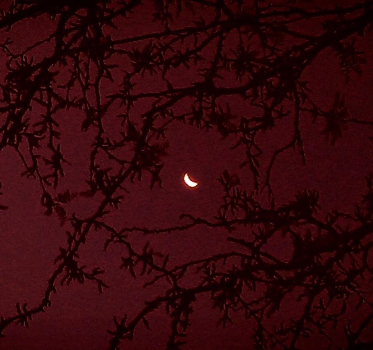 reclusiveisms's tweet image. 𝙏𝙝𝙚 𝙧𝙚𝙘𝙡𝙪𝙨𝙚.

#tdrp | #dcrp | #totaldramarp | #disventurecamprp