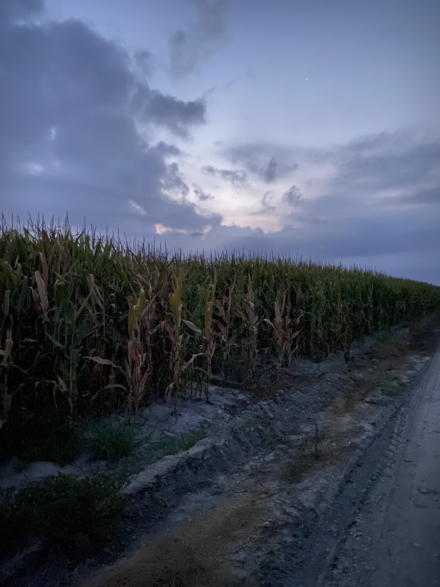 happy birthday to me (sad edit)