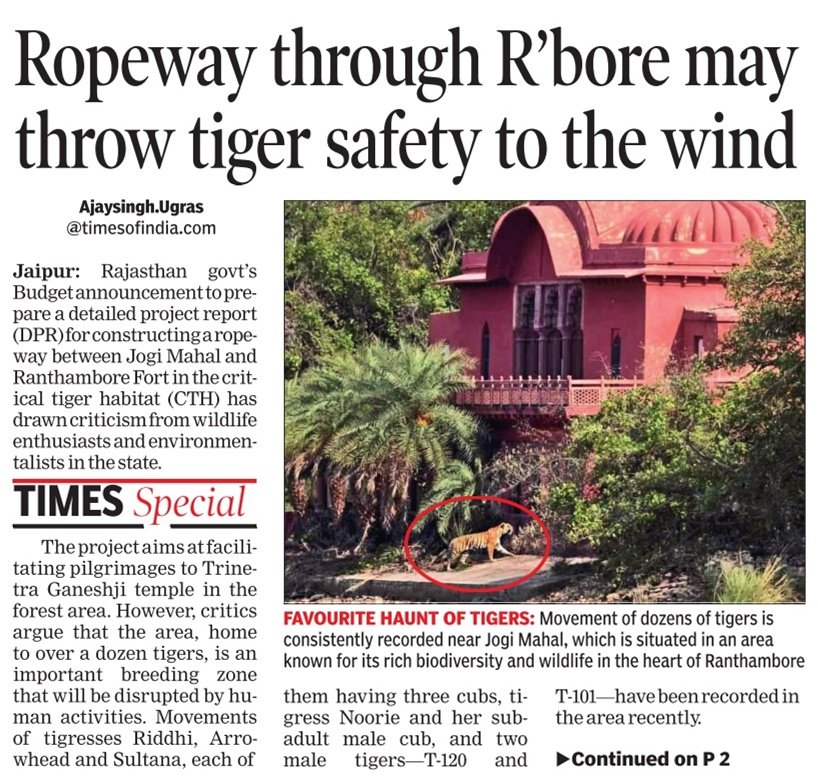 AjayUgrasTOI's tweet photo. #Rajasthan govt’s Budget announcement to prepare a detailed project report (DPR) for constructing a ropeway between #JogiMahal and #Ranthambore Fort in the critical #tiger habitat #CTH has drawn criticism from wildlife enthusiasts and environmentalists in the state. https://t.co/0AvO14wItm