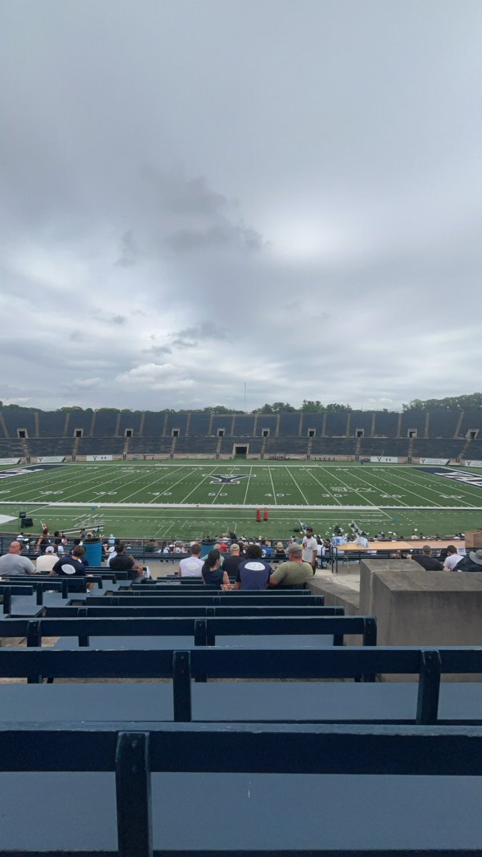 Will Seibert tweet media