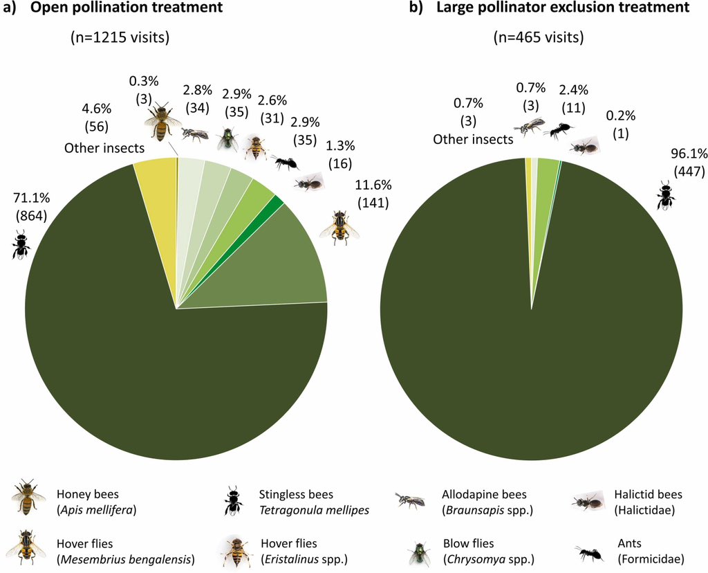 The first paper from my PhD is out, providing a comprehensive view of 🥭 pollinators in the Northern Territory of Australia 😊.

sciencedirect.com/science/articl…
