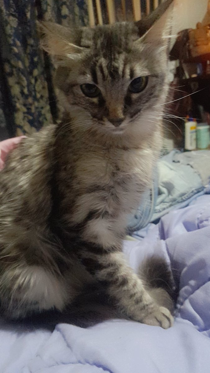 Somos energía tweet media