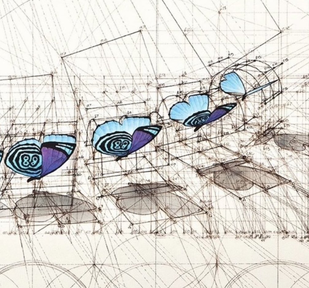 GEOMETRY 
rafael-araujo.com