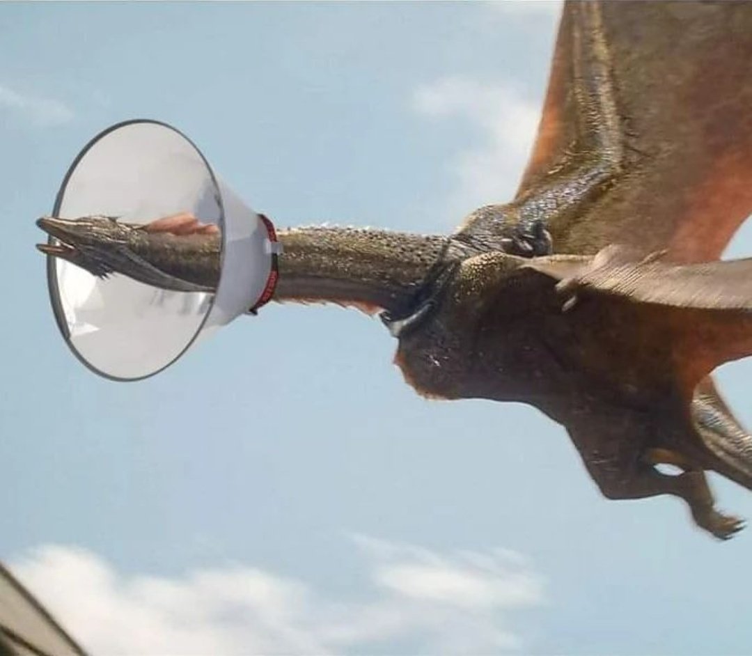 jonaryastark's tweet image. Sunfyre from the next episode #HouseOfTheDragon #HOTD