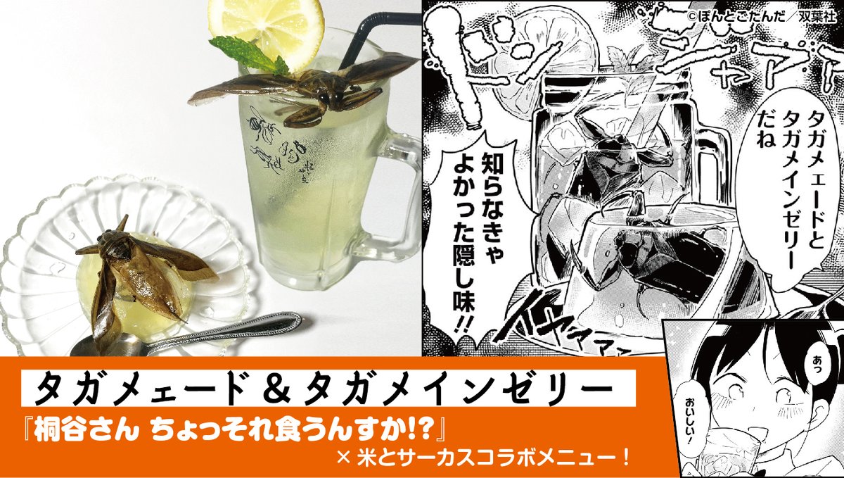桐谷さん&米とサーカスコラボイベントは本日ラスト!雑食祭りしめくくりへどうぞ!!🦌🐗🐟🪲