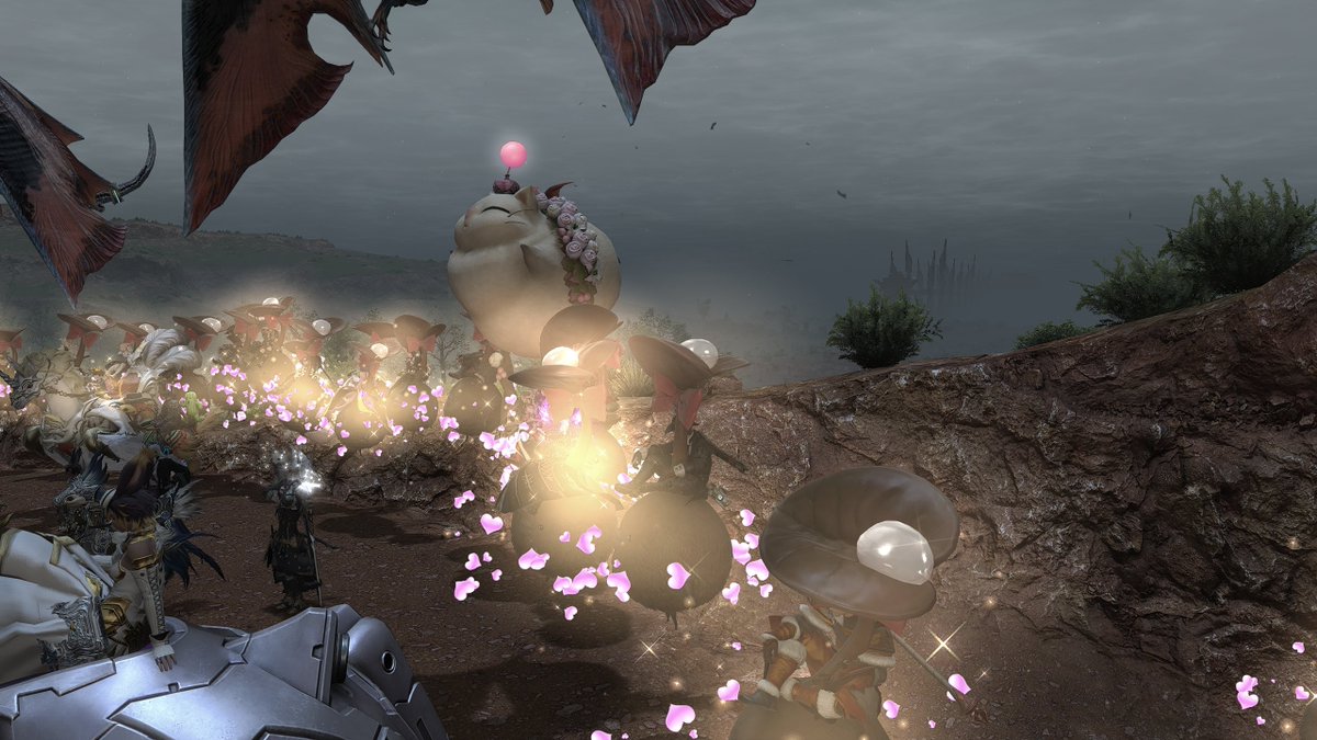 We flying poop fate spawn baiting today