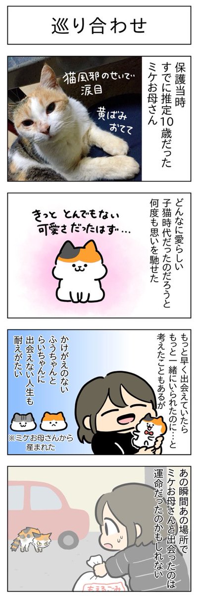 「巡り合わせ」(はる蔵さんの「ふうらい日和」第153回)  2本目「思い出」はこちら⇒ 