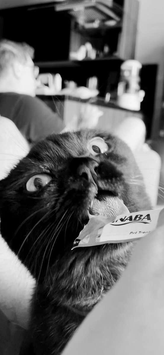 mel_sndrs's tweet photo. Mi primogénito https://t.co/1szudsEpFJ