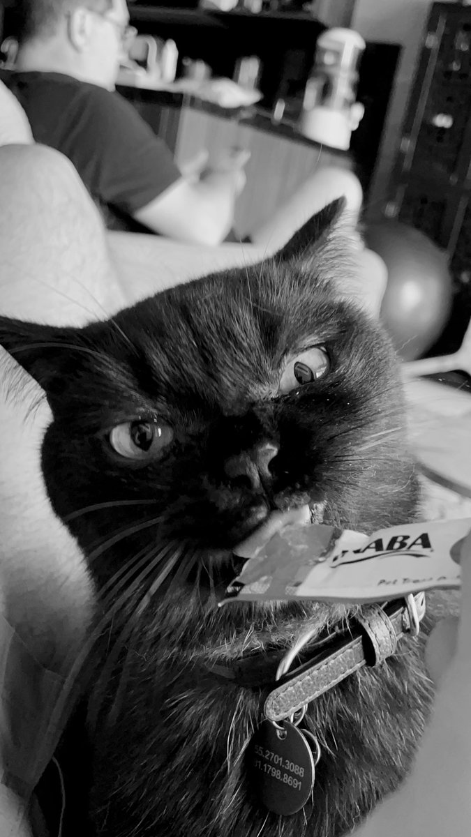 mel_sndrs's tweet photo. Mi primogénito https://t.co/1szudsEpFJ