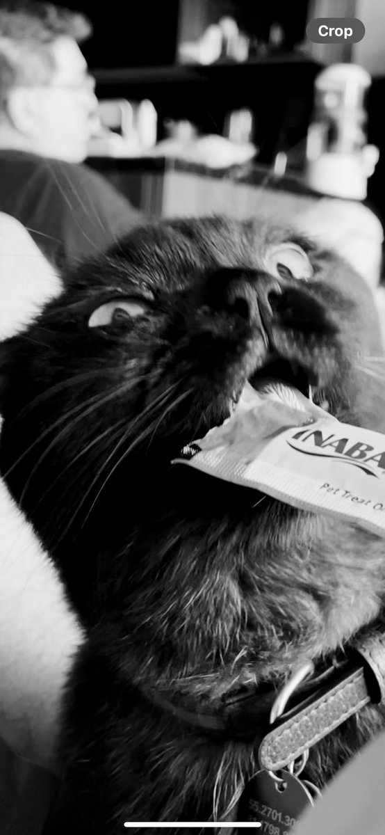 mel_sndrs's tweet photo. Mi primogénito https://t.co/1szudsEpFJ