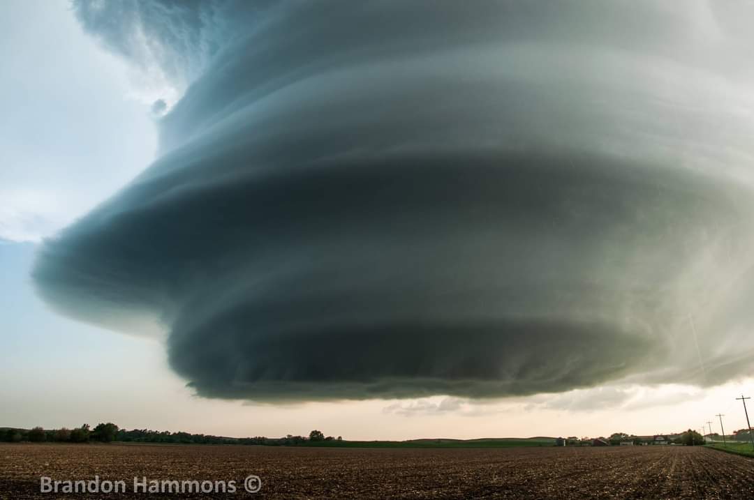 Brandon Hammons tweet media