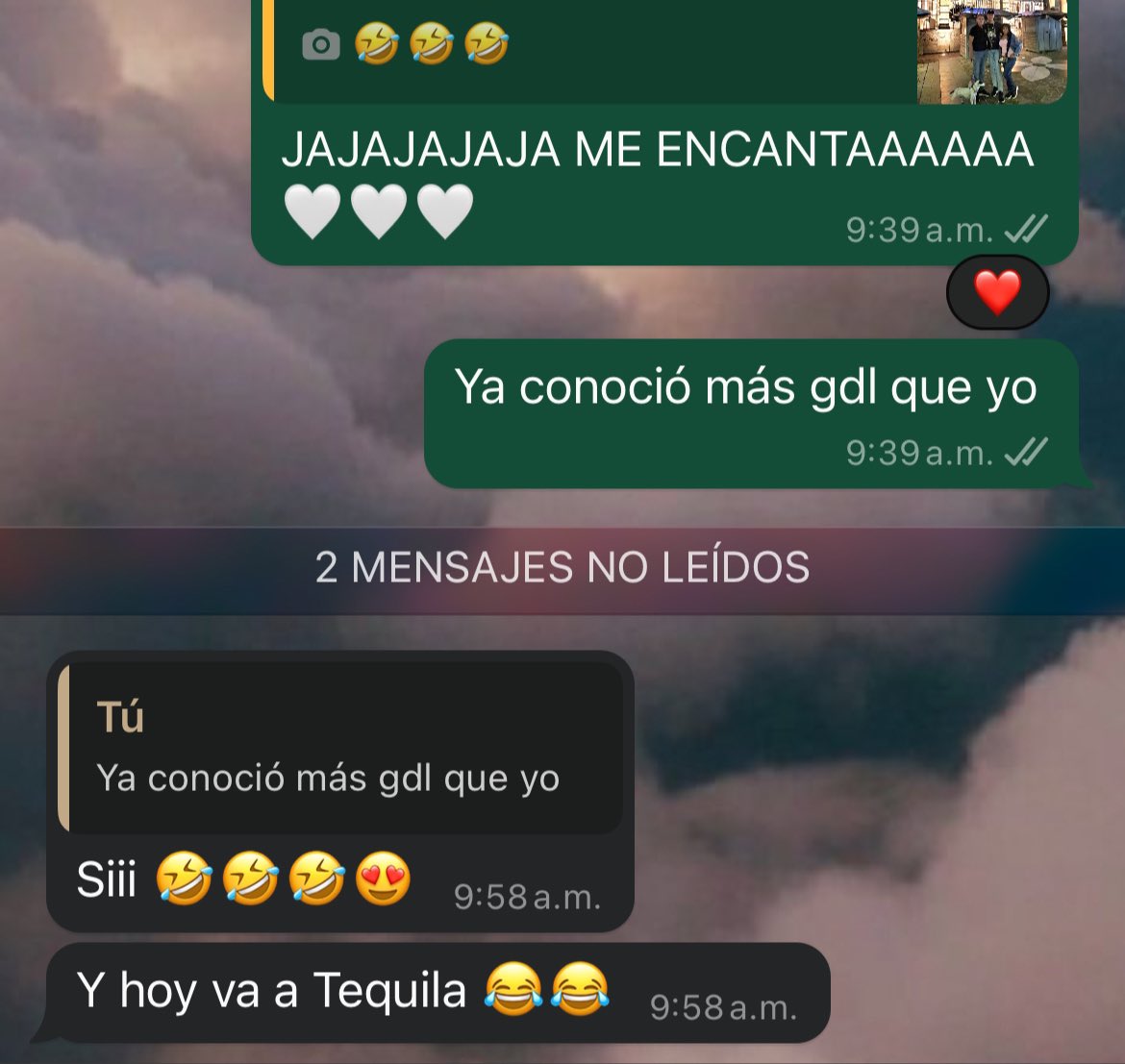 La pony 🩷🐴 🍄 tweet media