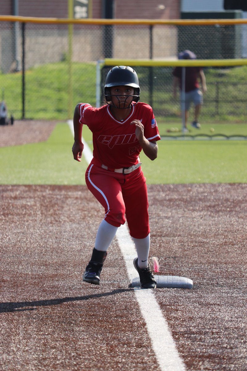 Waleli Hummingbird tweet media