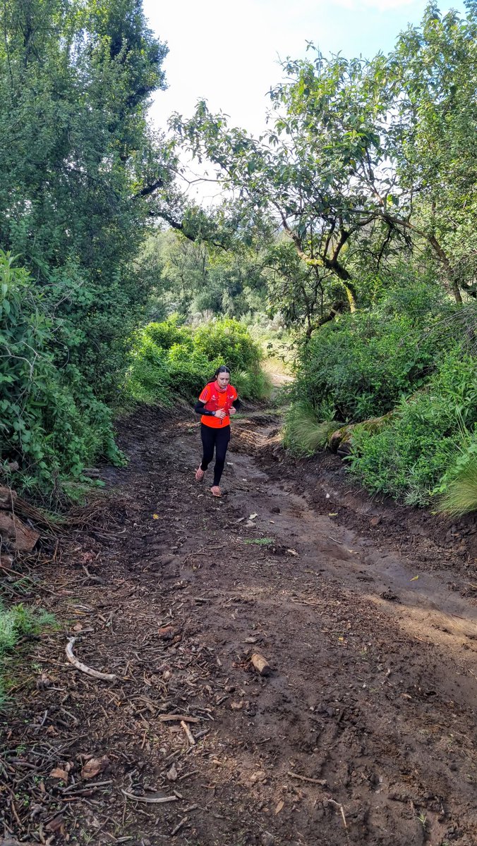 KarenLRB's tweet photo. Complejo de teporingo 🐇🐇🐇
Charquitos, charcotes, ir saltando piedras y corriendo entre la hierba es todo lo que está bien en esta vida https://t.co/Sarme6lmtJ