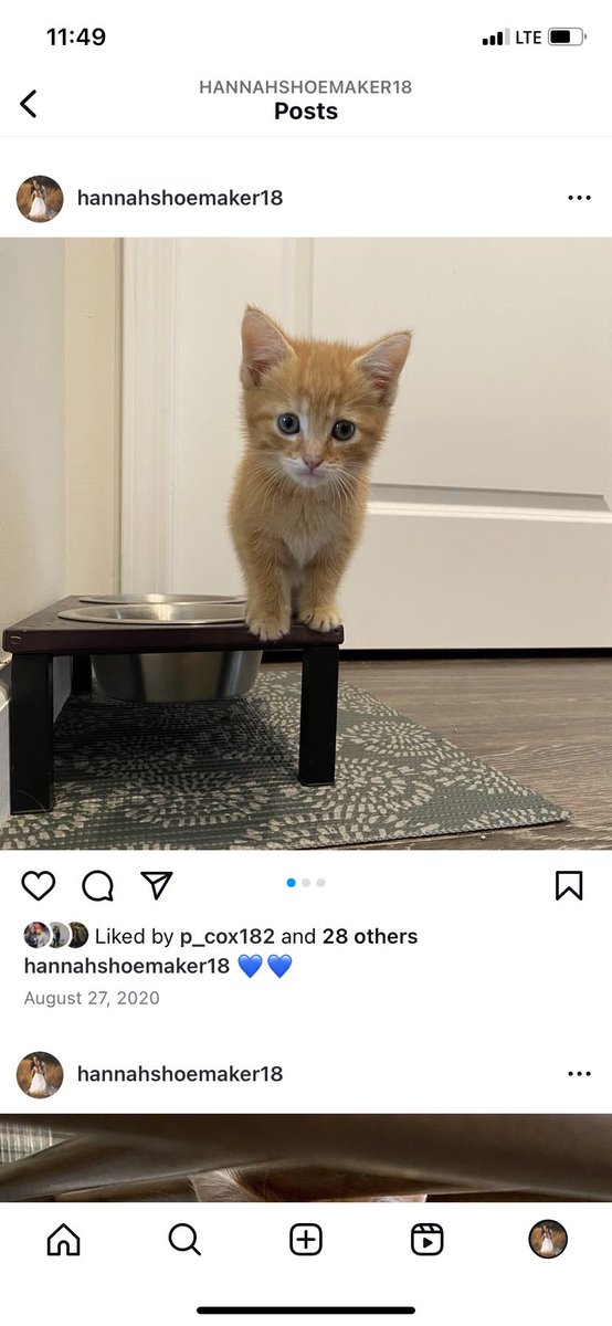 HannShoemaker's tweet photo. Little bean is 4 years old now 😭😢❤️ https://t.co/WVEVSiymp6