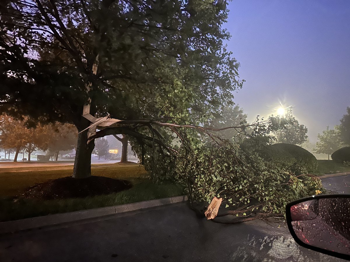 SamBertellotti's tweet photo. @NWSChicago light post down at 38 and Randall with plenty of large branches https://t.co/S4KYPUjvat