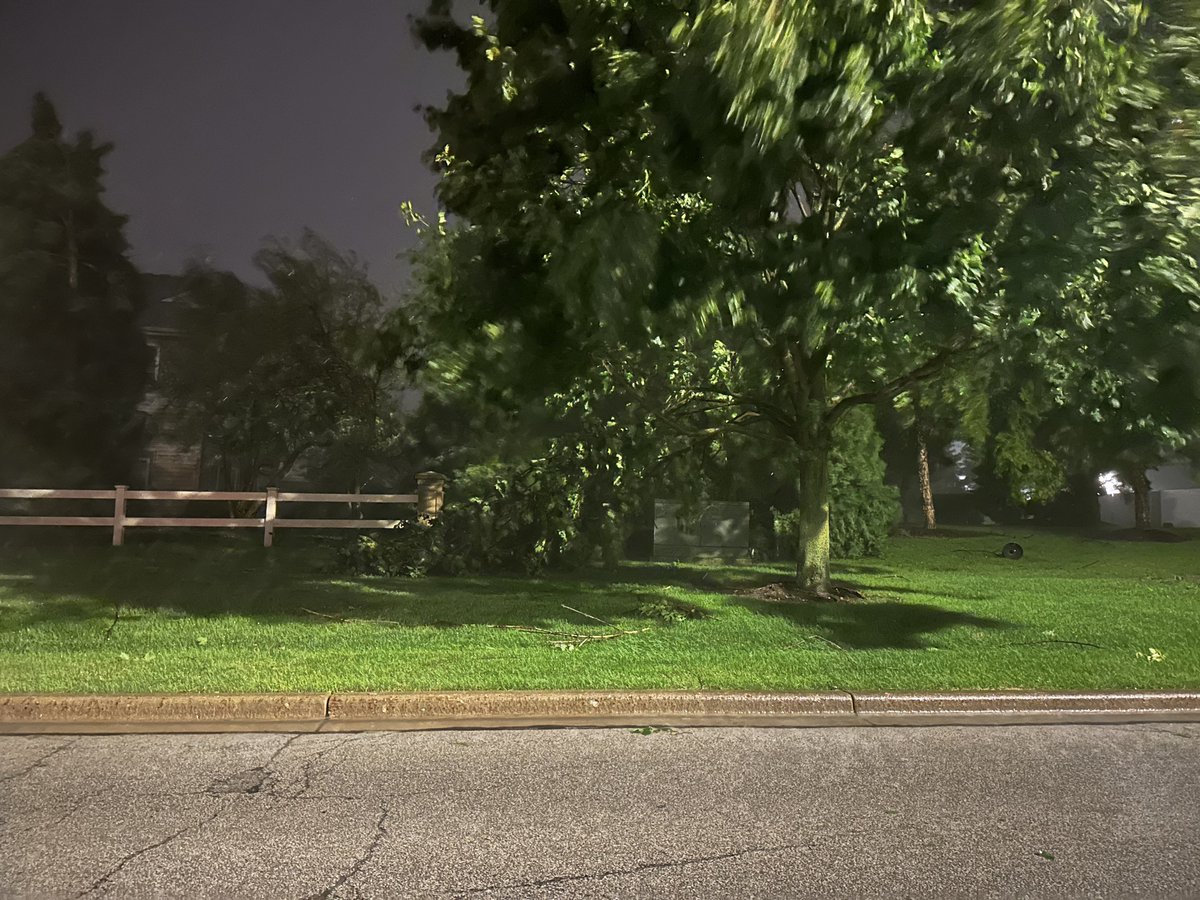 SamBertellotti's tweet photo. @NWSChicago light post down at 38 and Randall with plenty of large branches https://t.co/S4KYPUjvat