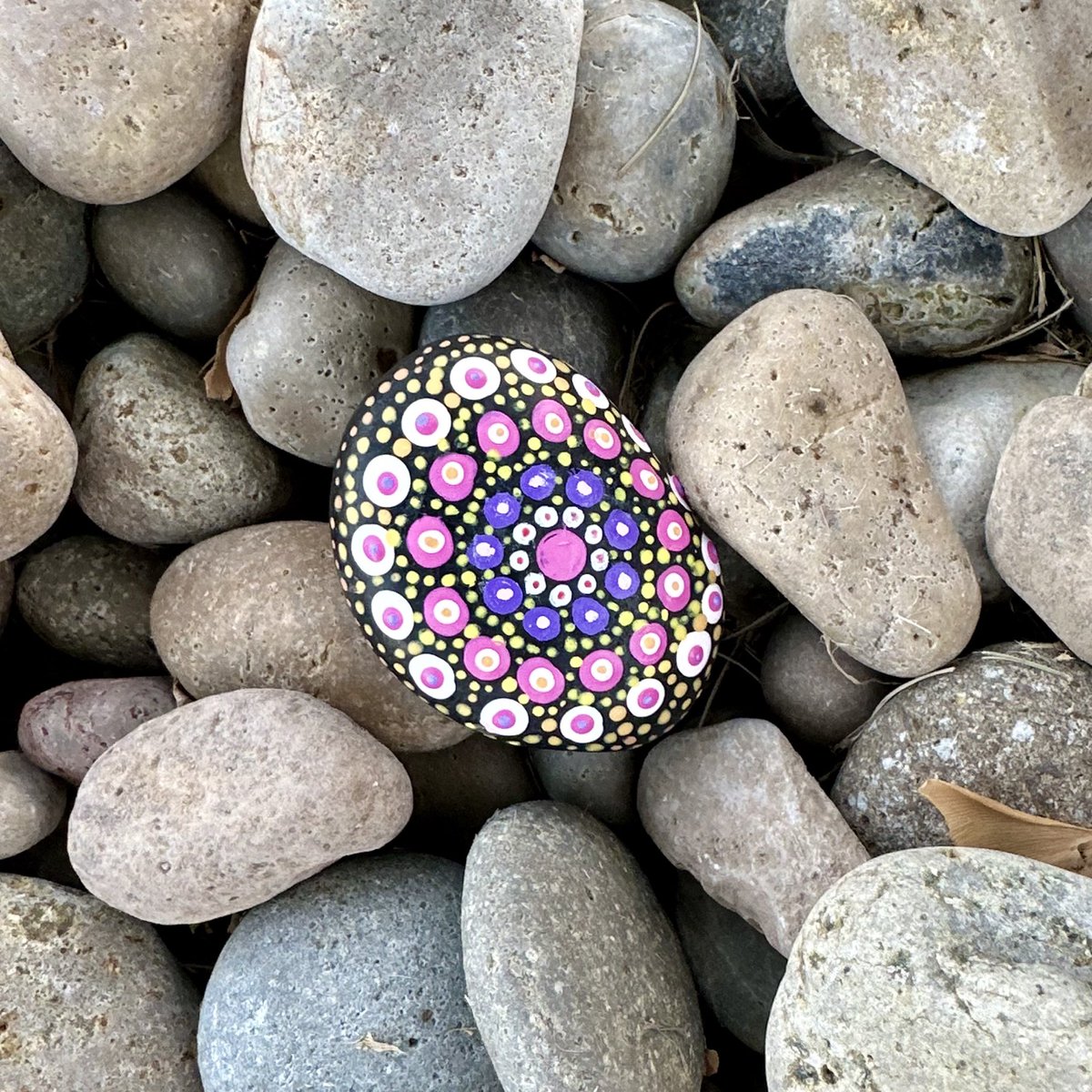 Amy Hermes (@amyhermes) on Twitter photo Sometimes you just need to add a little more color… Sometimes you just need to add a little more color…