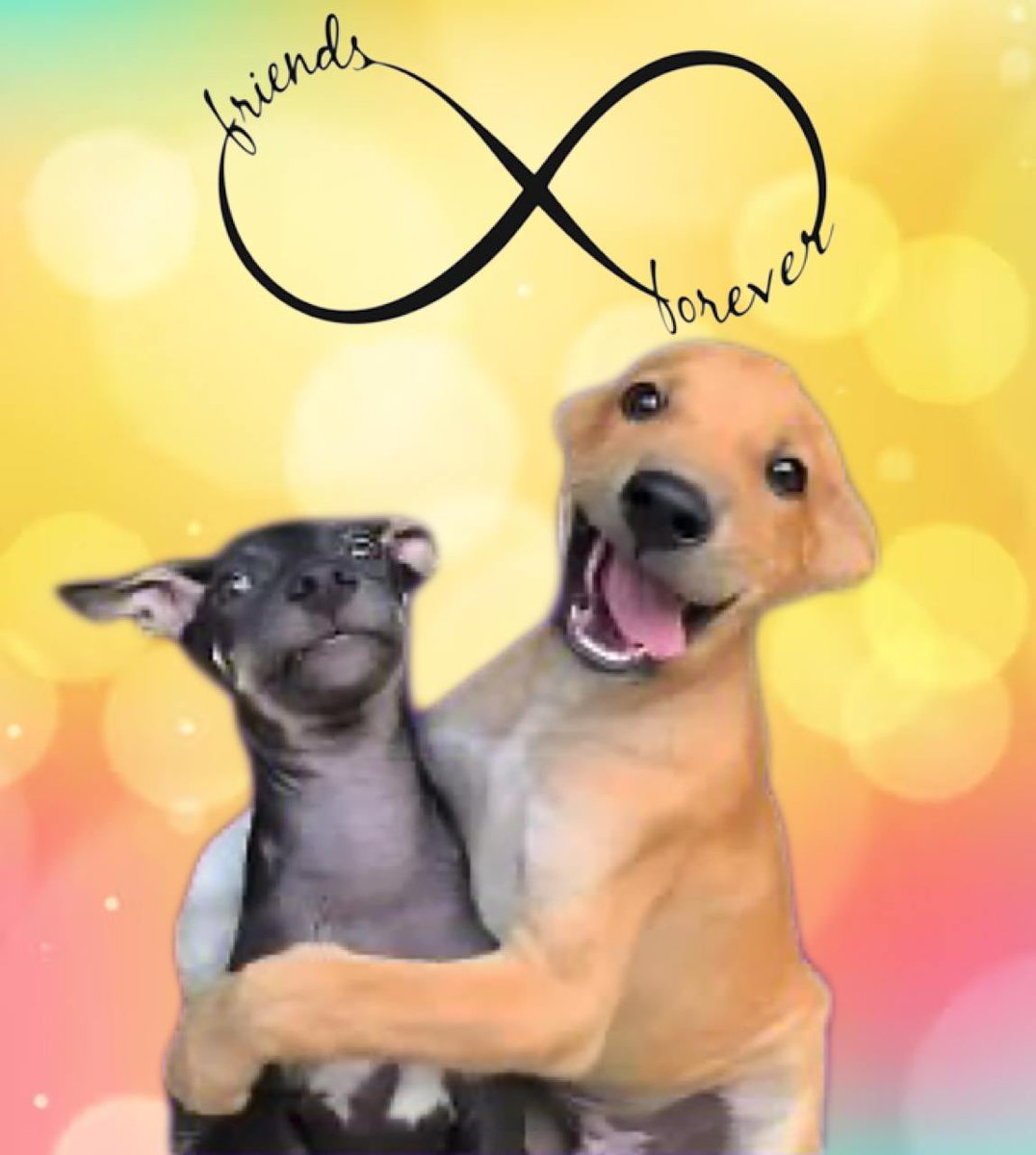 <a href="/BFFwithSOL/">Best Friends</a> <a href="/TheMisterFrog/">Mr. Frog</a> Awww nothing like 
$Bff ‘s