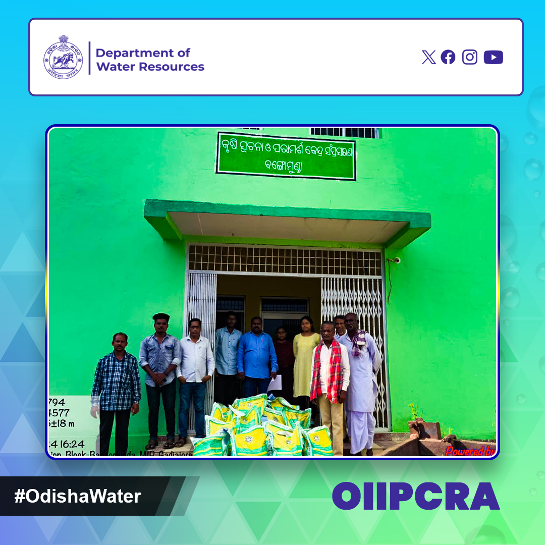 OdishaWater's tweet image. #SeedDistribution at FIAC (Farmer’s information and Advisory Centre), Bangomunda, #BalangirDistrict: #Paddyseeds for 70 Ha and #MilletSeeds for 20 Ha. #OdishaWater #OIIPCRA #Agriculture
@CMO_Odisha @DC_Odisha @_anugarg  @IPR_Odisha @OIIPCRA_OCTDMS @OLICLTD @ltd_occ  @CE_Megalift