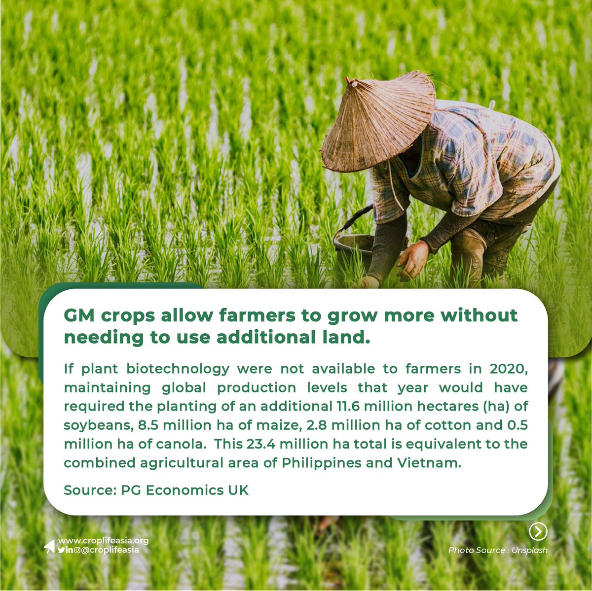 CropLifeAsia's tweet photo. One of the major scientific advances in #agriculture has been plant #biotechnology. Crop improvements were made when targeted changes to a plant’s genetic makeup through modern biotechnology give the plant a new desirable trait. Learn abt the impact it has on farming here. https://t.co/pQTwP0tpR6