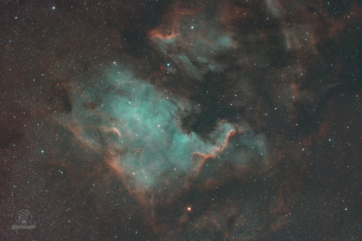 NOLAspacemonkee's tweet photo. North America Nebula - 7.12.2024 #DentonTX #Astrophotography https://t.co/EMGZaamOfU